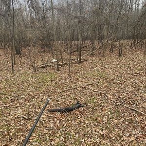 Meet your Posher, Kenneth